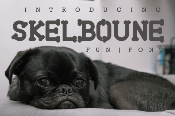 Skelboune: A Fresh Take on Playful Serif Typography